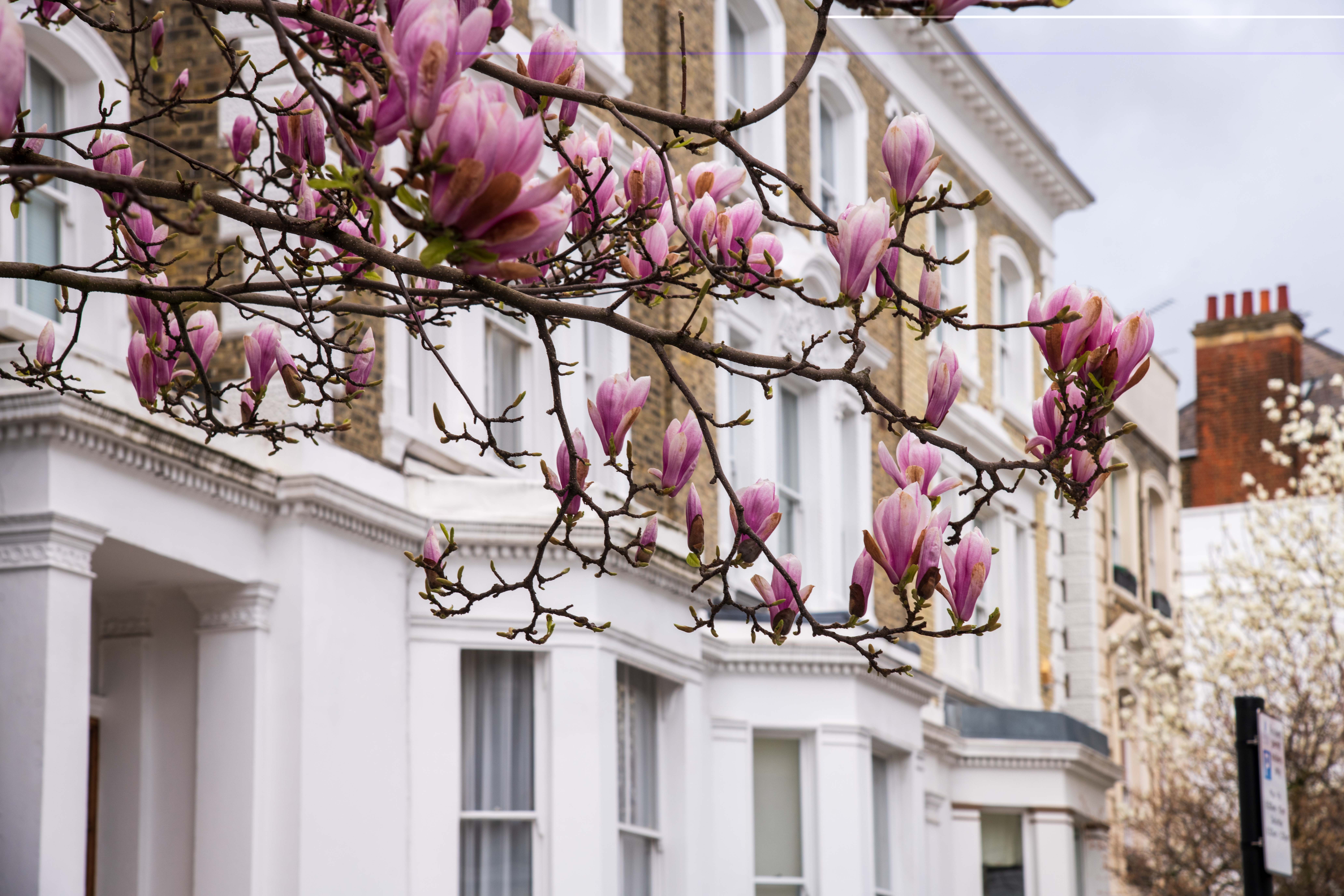 What does the Spring Budget mean for the property market?