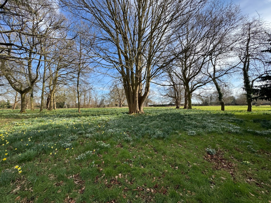 Images for Hunt's Lane, Taplow, Maidenhead EAID:BMHCC BID:maidenhead