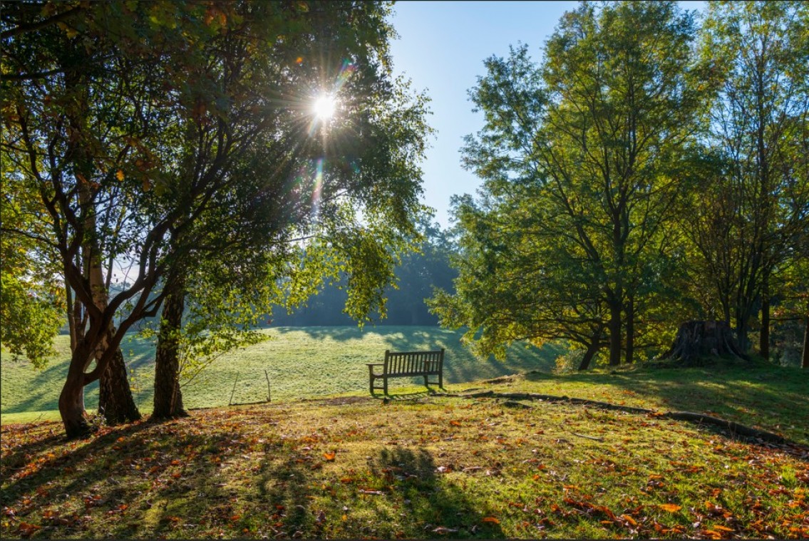 Images for Sunningdale Park, Ascot EAID:BMHCC BID:maidenhead