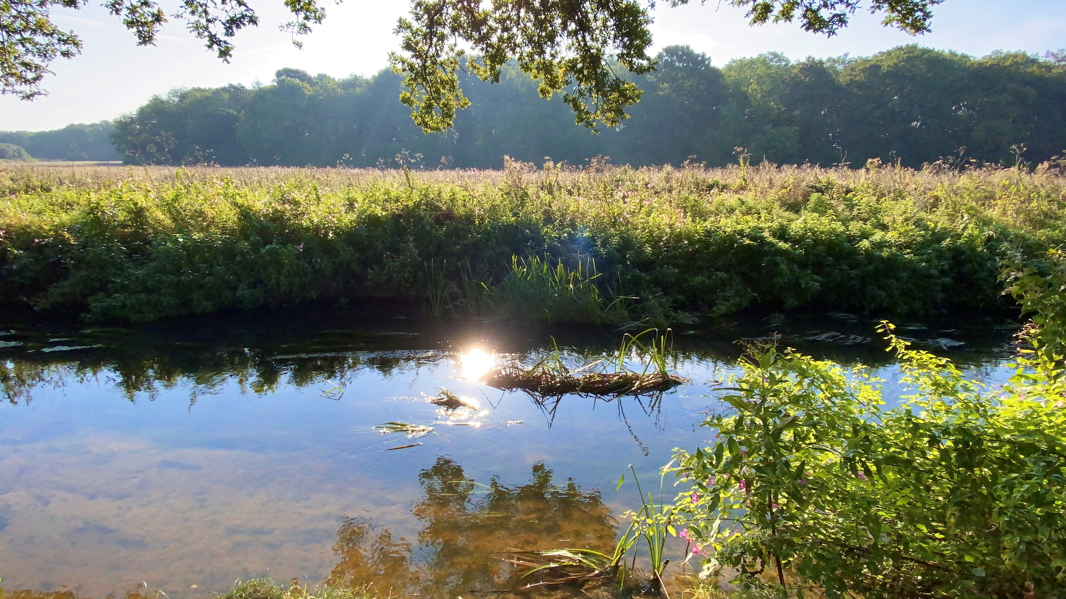 SPOTLIGHT ON... OCKWELLS PARK!