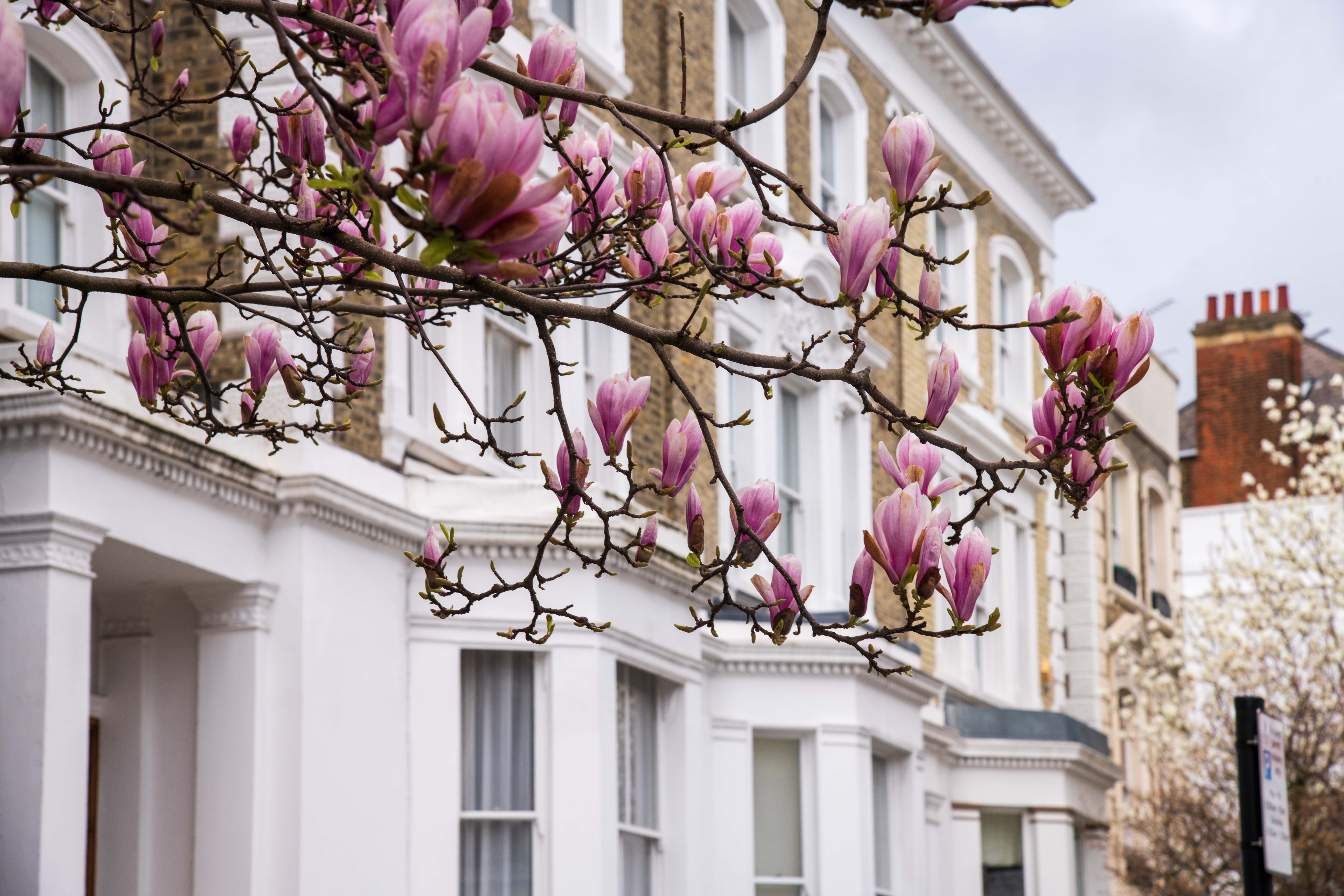 Focus on...The Spring Forecast